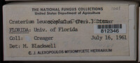 Image Associated With the Occurence